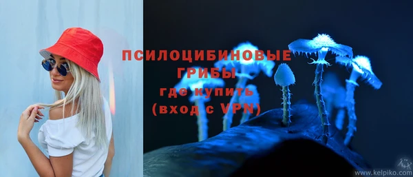 мяу мяу мука Заволжье