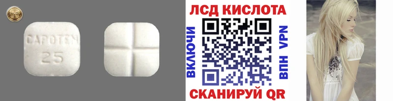 LSD-25 экстази кислота  Купить где  Кадников 