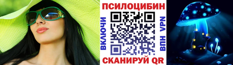 Купить  Кадников  Галлюциногенные грибы MAGIC MUSHROOMS 