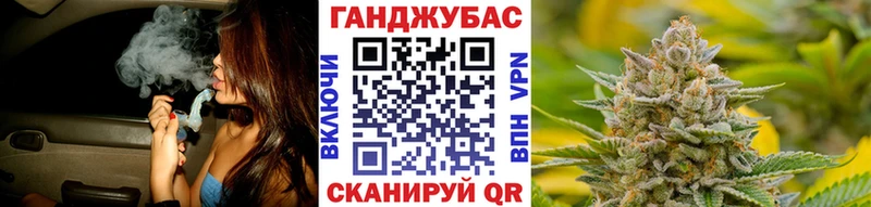 Купить где  Кадников  Бошки Шишки планчик 
